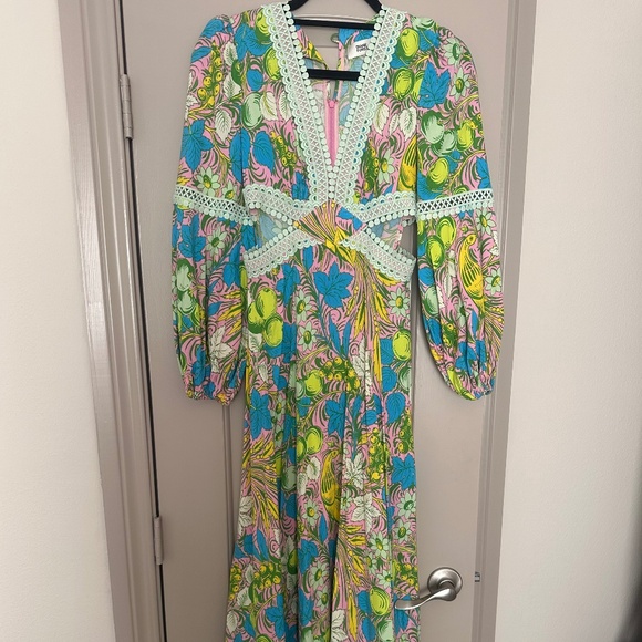 Diane Von Furstenberg Lina Embroidered Floral-Print Crepe Maxi Dress - Picture 2 of 5